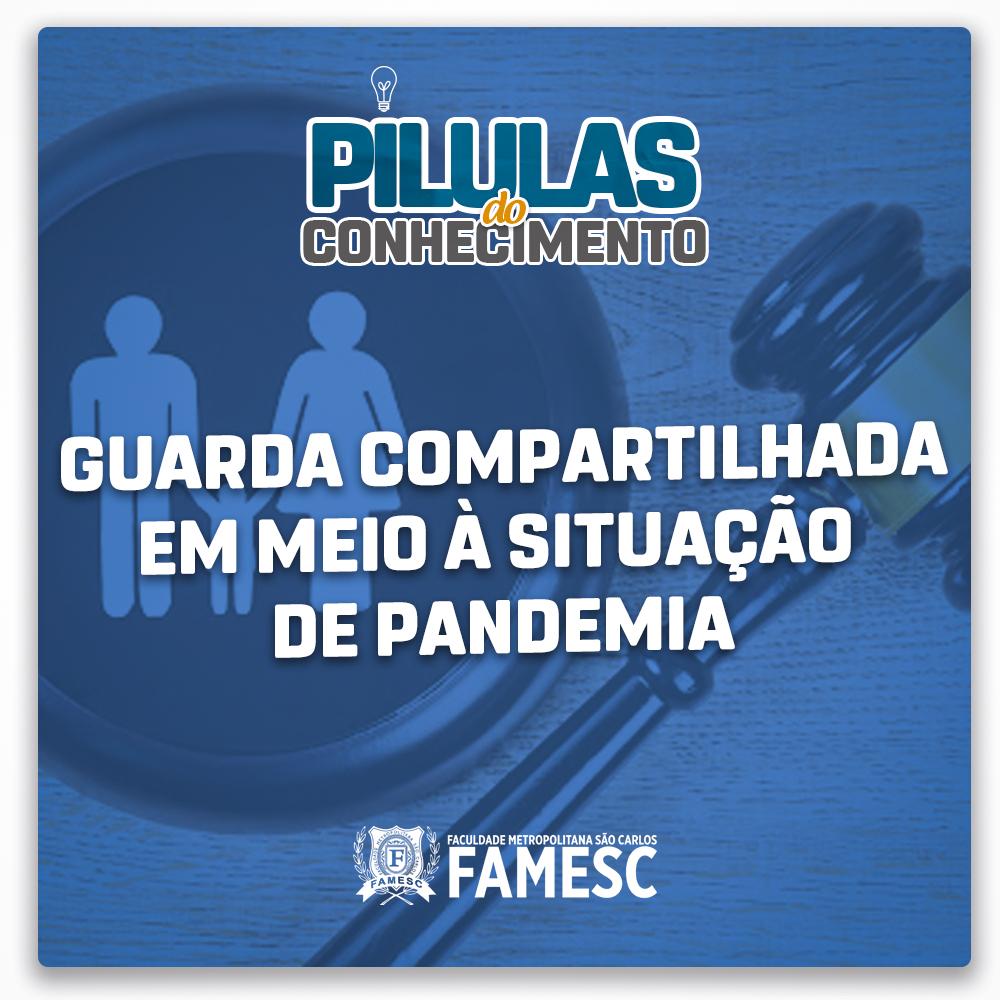 Guarda compartilhada em meio à situação de pandemia